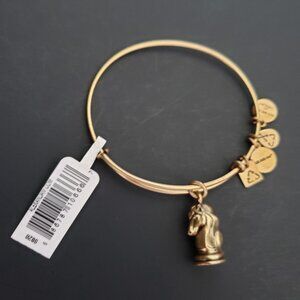 NWT ALEX AND ANI "THE KNIGHT" BRACELET Chess  Horse  668